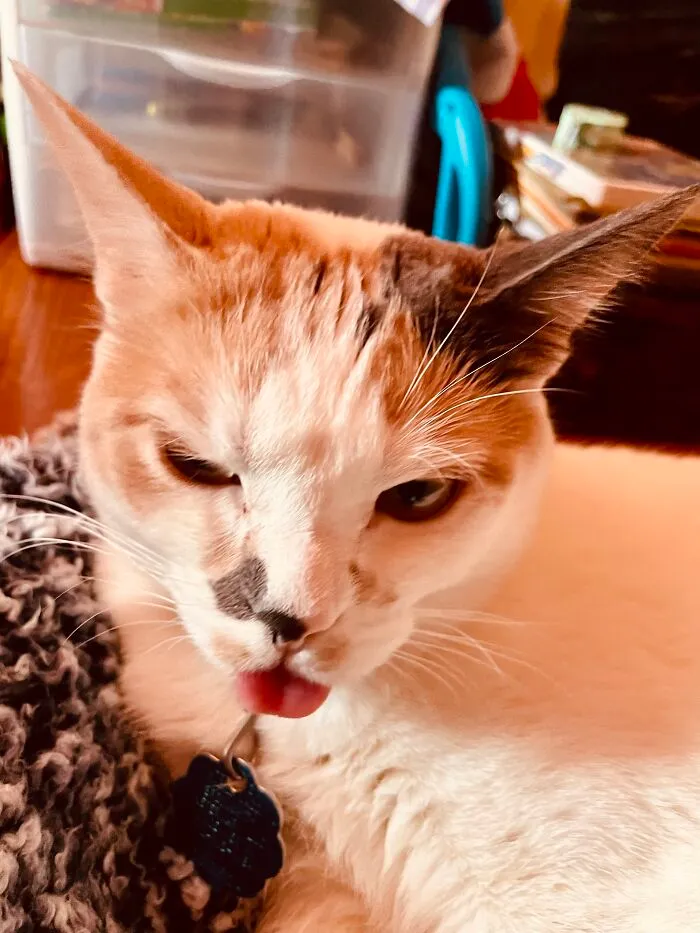 I Woke Her