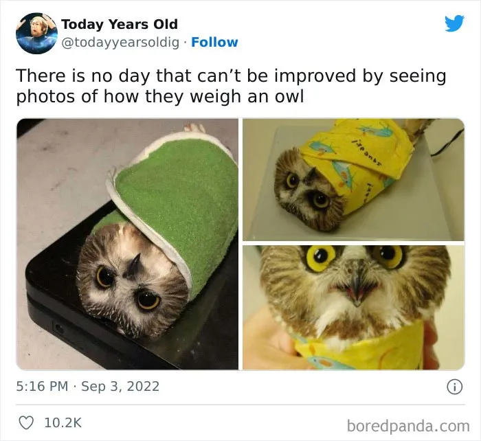 The ‘Today Years Old’ Social Media Project Shares Cool Facts, And Here Are 50 Of The Very Best Ones