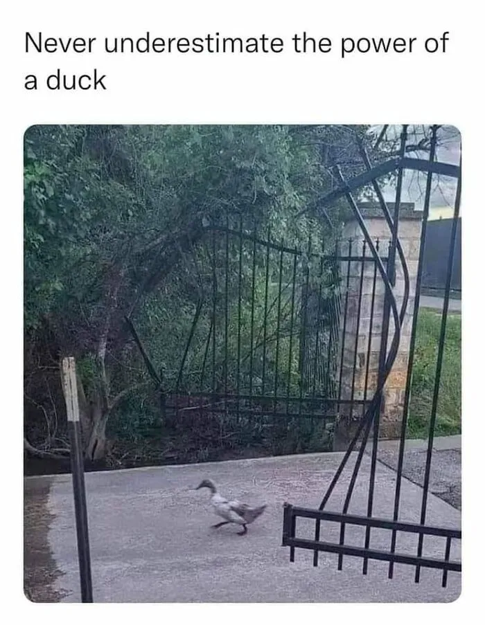 50 Times People Noticed Something Dreamlike And Shared Photos On The "Accidental Surrealism" Group