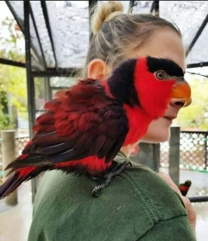 50 Times People Noticed Something Dreamlike And Shared Photos On The "Accidental Surrealism" Group