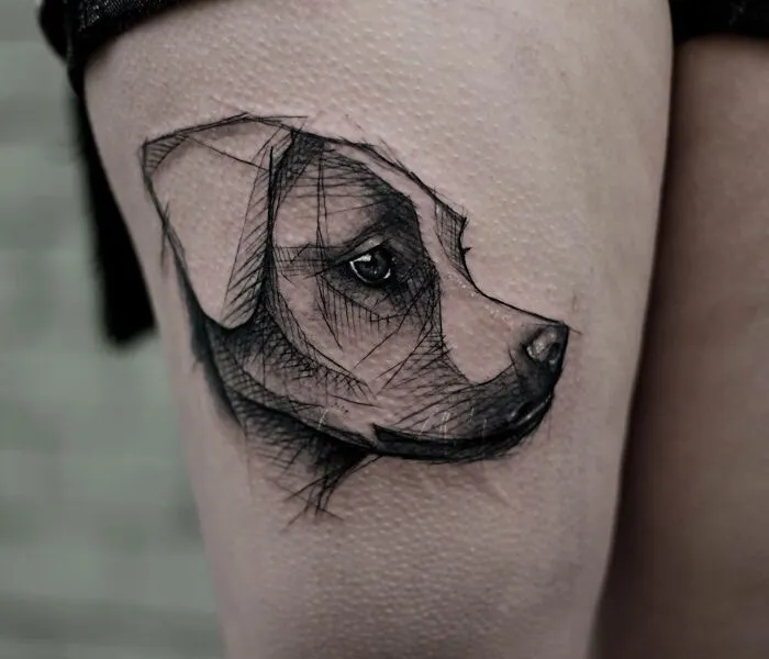 Pet Tattoo
