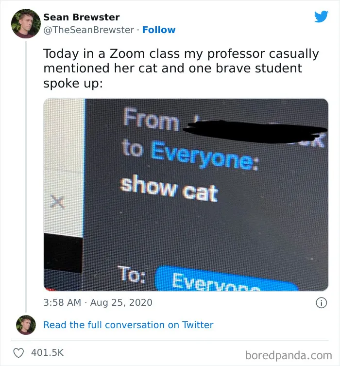 Zoom chat screenshot with "show cat" message, funny cat meme.