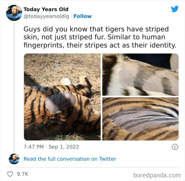 The ‘Today Years Old’ Social Media Project Shares Cool Facts, And Here Are 50 Of The Very Best Ones