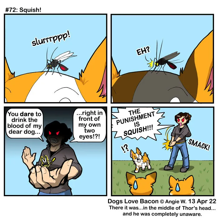 23 Comics I Made To Illustrate The Funny Reality Of Being A Dog Owner (New Pics)