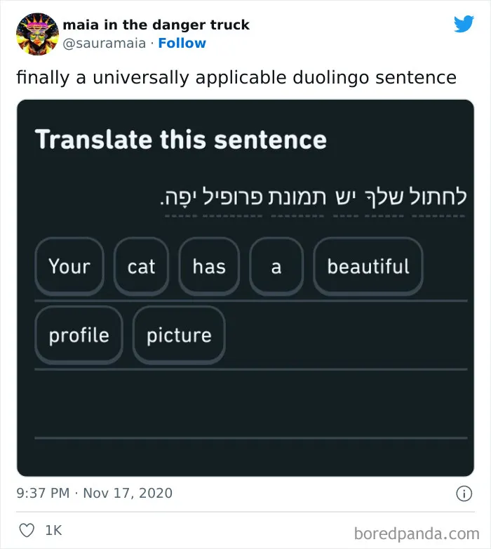 "Linguistic Gold Provided By Duolingo": 40 Of The Funniest And Most Unexpected Prompts Found On The App