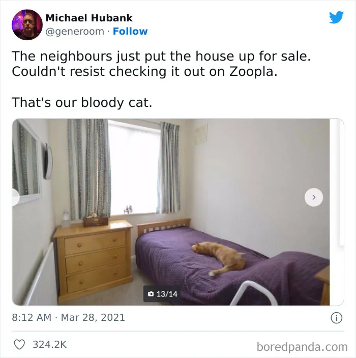 Unexpected Home Staging