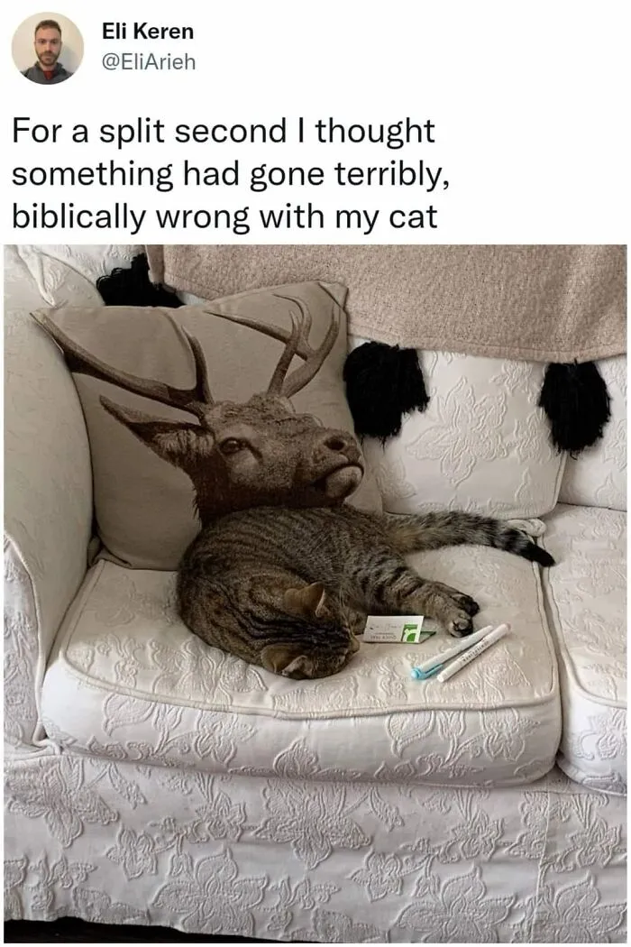 50 Times People Noticed Something Dreamlike And Shared Photos On The "Accidental Surrealism" Group