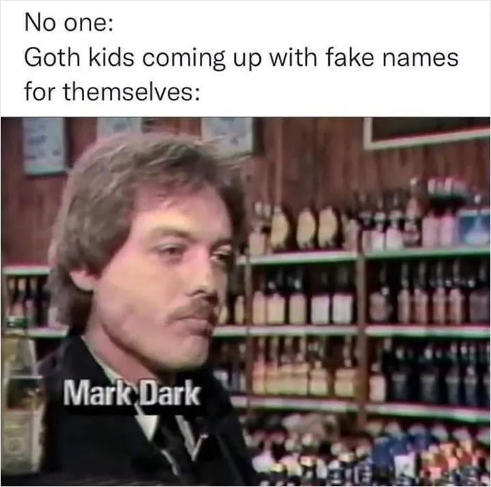 30 Memes And Posts That Sum Up What Kind Of People Goths Are, Shared On This Facebook Page