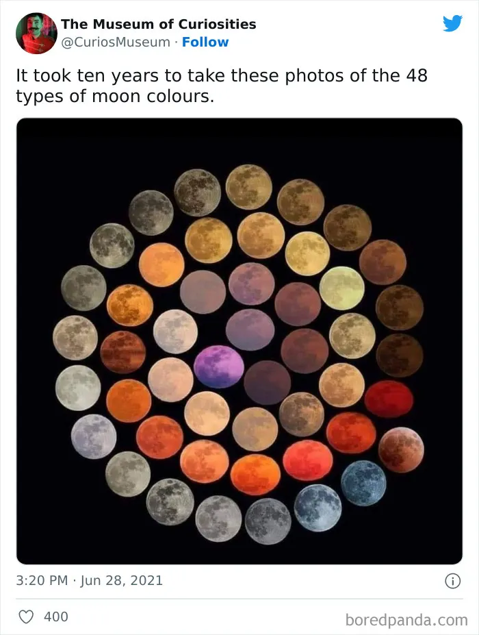 This Online Twitter Museum Posts Ridiculously Interesting Finds, Here Are 50 Of The Best Ones