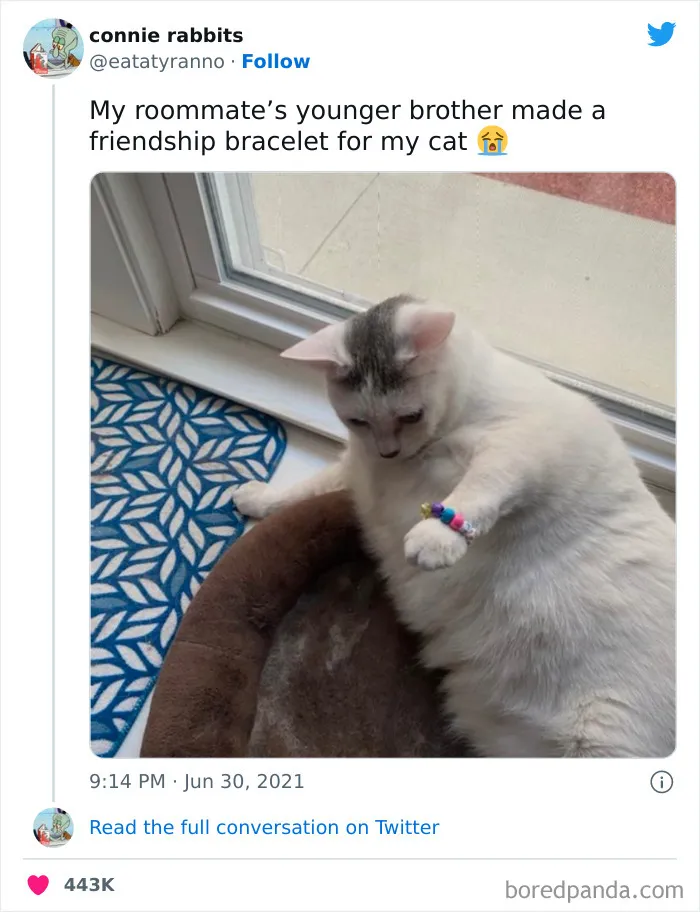 This Twitter Page Is Dedicated To Mischievous Animal Memes, Here Are 35 Of The Funniest Ones