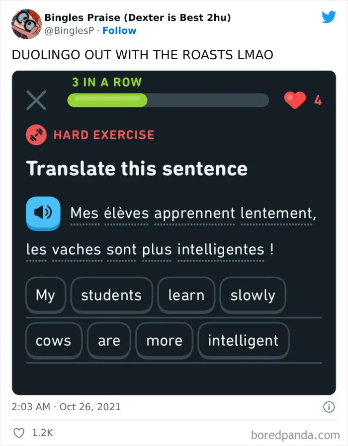 "Linguistic Gold Provided By Duolingo": 40 Of The Funniest And Most Unexpected Prompts Found On The App