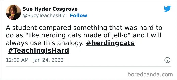 50 Times Teachers Tweeted Something So Hilarious, It Had To Be Shared