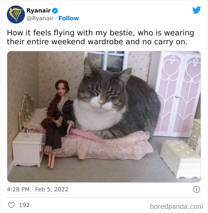 A large cat sitting on a miniature bed next to a doll, illustrating savage roasts from Ryanair's social media.