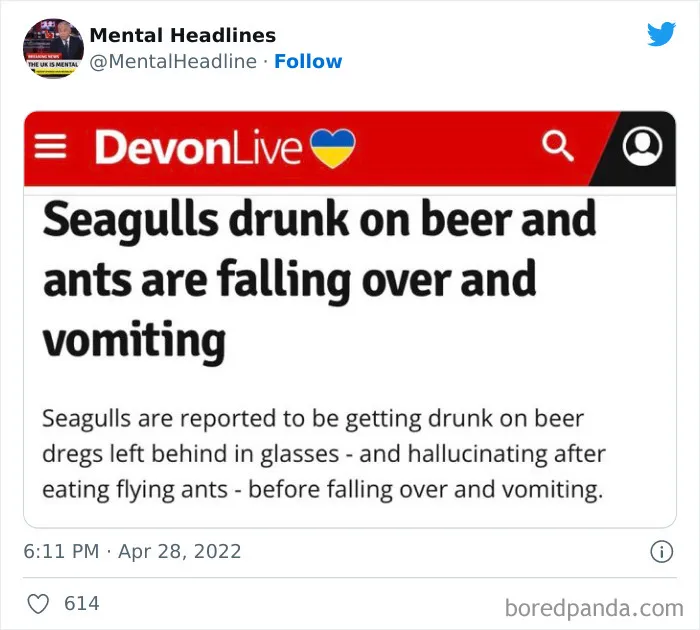 This Twitter Page Collects 50 Of The Funniest News Headlines Ever Spotted Online (New Posts)