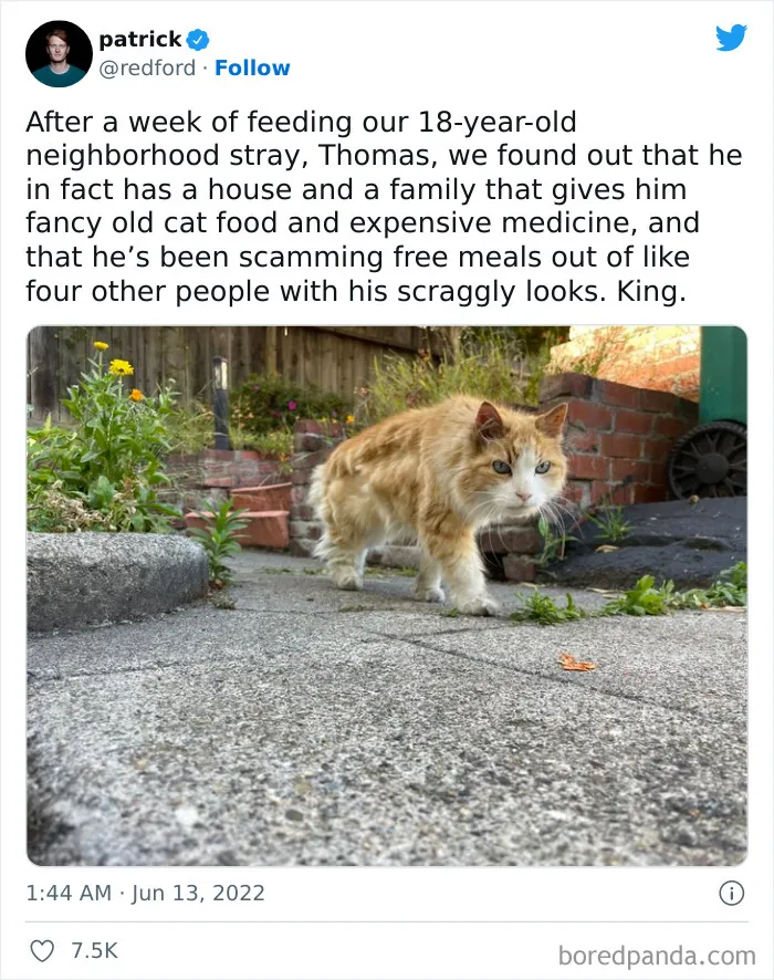 Neighborhood Con Artist Revealed