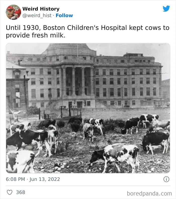 ‘Weird History’ Is An Account That Shares Interesting, Odd, And Funny Things That Happened Throughout History (50 New Pics)