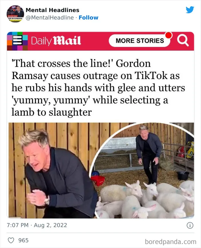 This Twitter Page Collects 50 Of The Funniest News Headlines Ever Spotted Online (New Posts)
