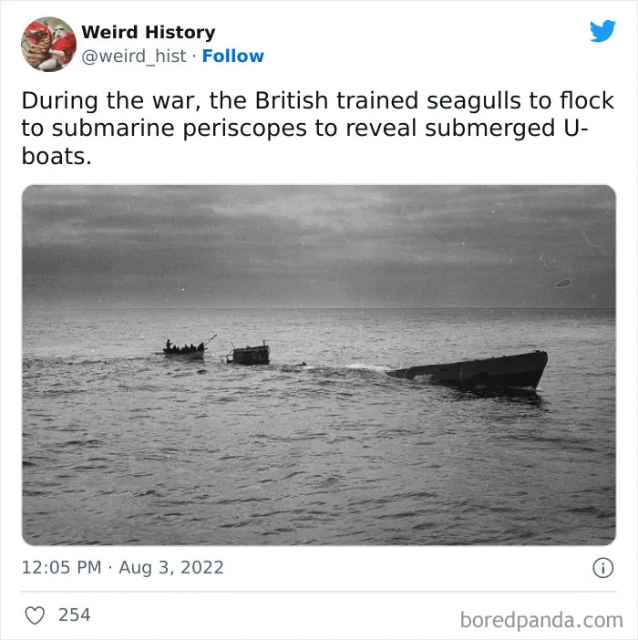 ‘Weird History’ Is An Account That Shares Interesting, Odd, And Funny Things That Happened Throughout History (50 New Pics)