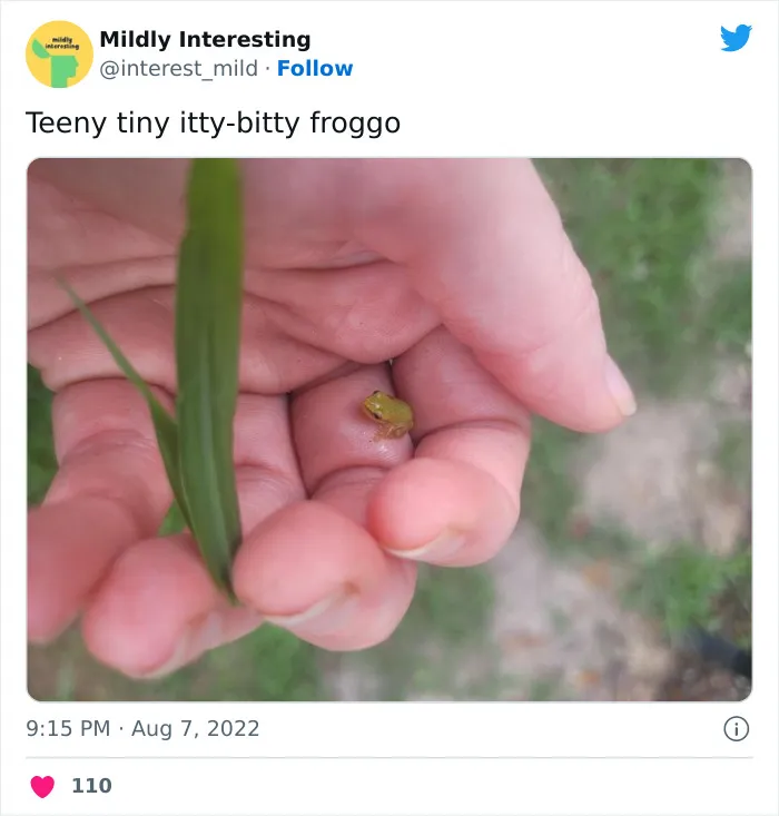 This Twitter Account Posts Things That Are Merely Amusing (40 Pics)