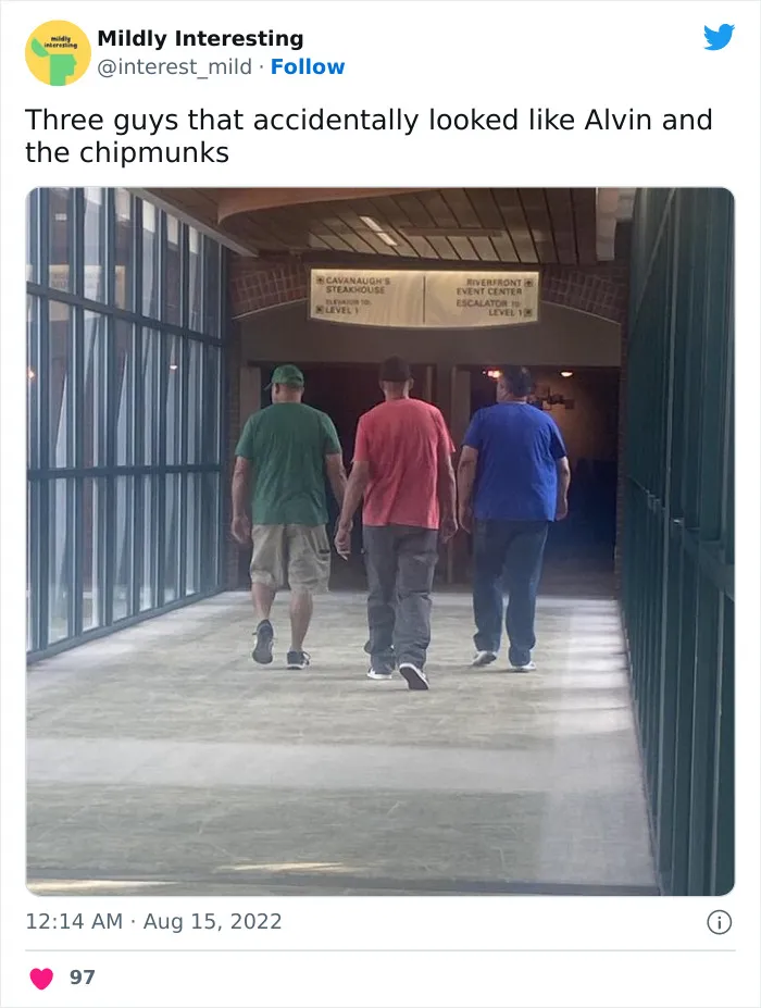 This Twitter Account Posts Things That Are Merely Amusing (40 Pics)