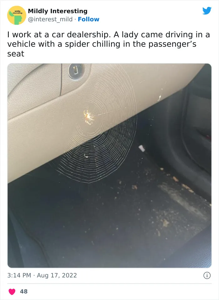 This Twitter Account Posts Things That Are Merely Amusing (40 Pics)