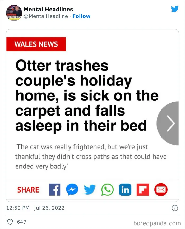 This Twitter Page Collects 50 Of The Funniest News Headlines Ever Spotted Online (New Posts)