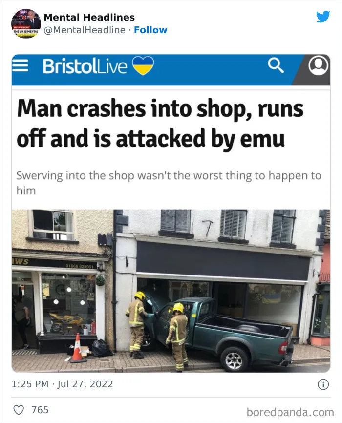 This Twitter Page Collects 50 Of The Funniest News Headlines Ever Spotted Online (New Posts)