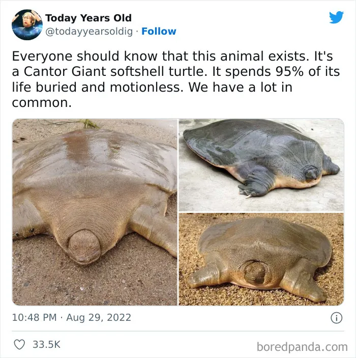 The ‘Today Years Old’ Social Media Project Shares Cool Facts, And Here Are 50 Of The Very Best Ones