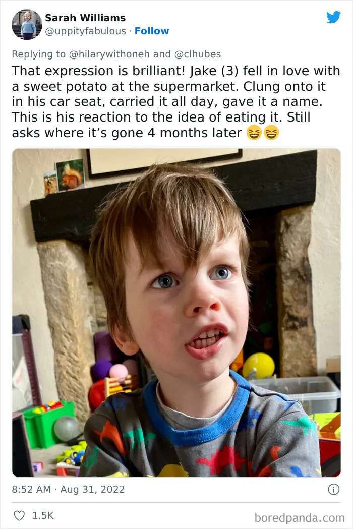 35 Times Stubborn Kids Proved That Their Parents Can’t Make Them Eat Anything They Don’t Want To