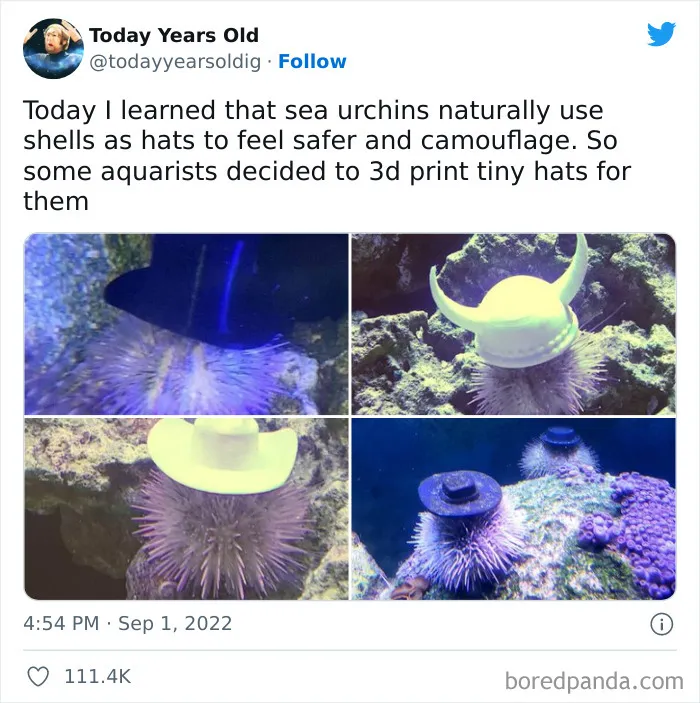 The ‘Today Years Old’ Social Media Project Shares Cool Facts, And Here Are 50 Of The Very Best Ones