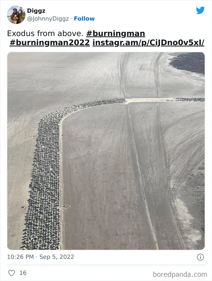 Burning Man 2022: Photos & Installations of the Wildest Festival Ever