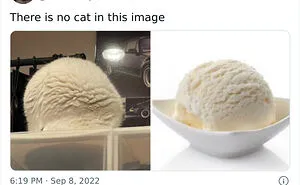 Twitter Can’t Get Enough Of This Page Dedicated To ‘Chaotic Cat Pictures’, Here Are 35 Of Their Best Posts