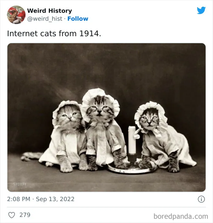 ‘Weird History’ Is An Account That Shares Interesting, Odd, And Funny Things That Happened Throughout History (50 New Pics)