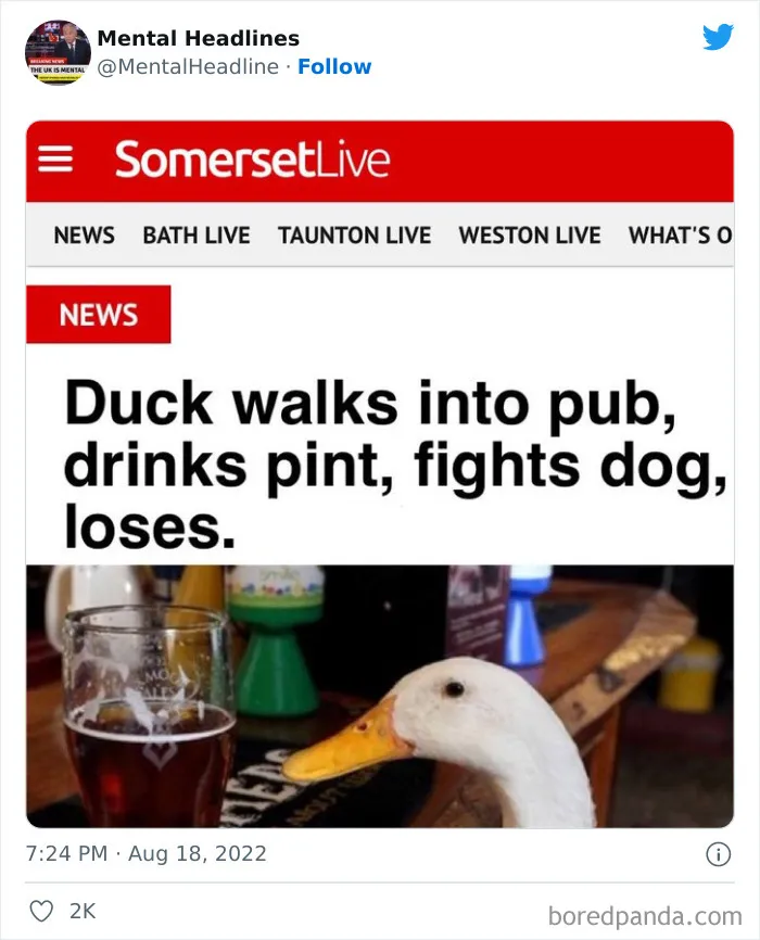 This Twitter Page Collects 50 Of The Funniest News Headlines Ever Spotted Online (New Posts)