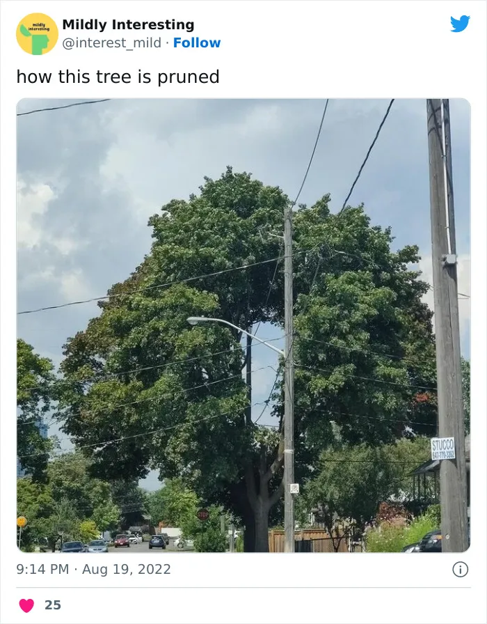 This Twitter Account Posts Things That Are Merely Amusing (40 Pics)