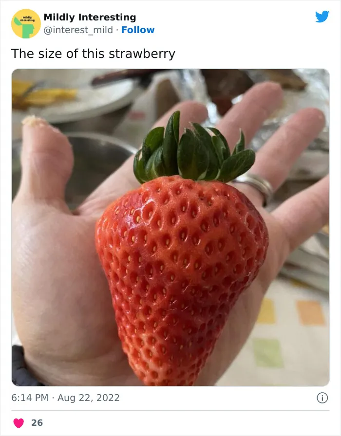 This Twitter Account Posts Things That Are Merely Amusing (40 Pics)