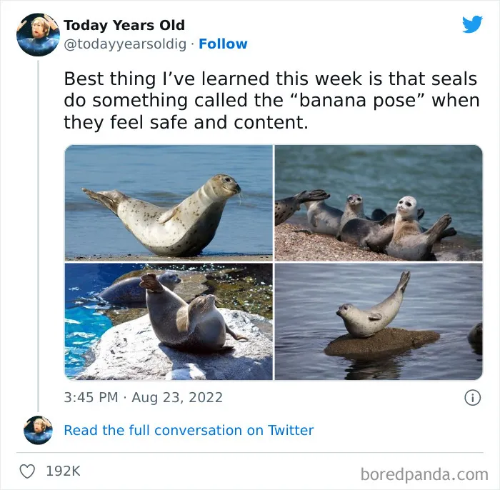 The ‘Today Years Old’ Social Media Project Shares Cool Facts, And Here Are 50 Of The Very Best Ones