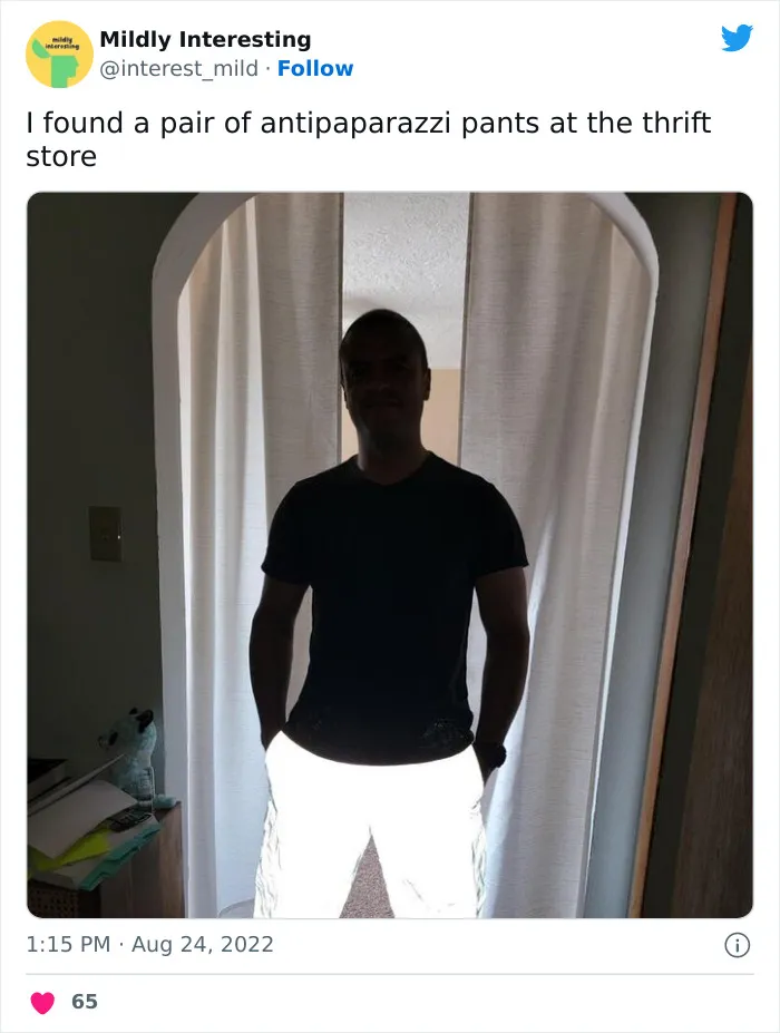 Mildly-Interesting-Post-Twitter