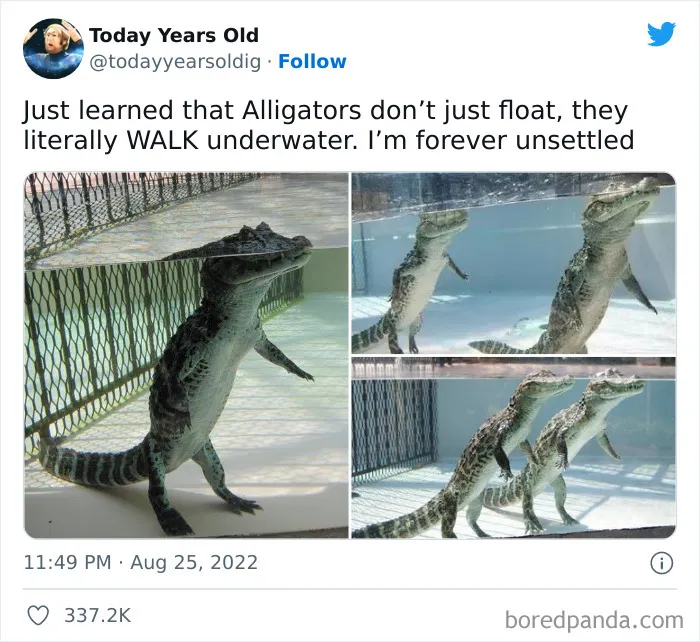 The ‘Today Years Old’ Social Media Project Shares Cool Facts, And Here Are 50 Of The Very Best Ones