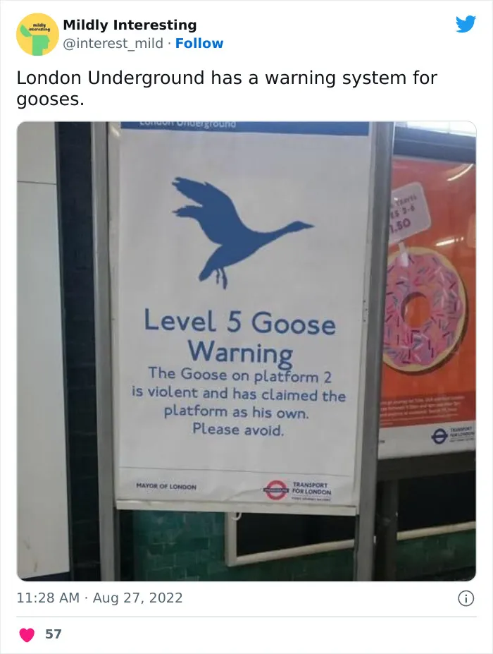 This Twitter Account Posts Things That Are Merely Amusing (40 Pics)