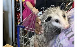 This Twitter Account Posts Things That Are Merely Amusing (40 Pics)