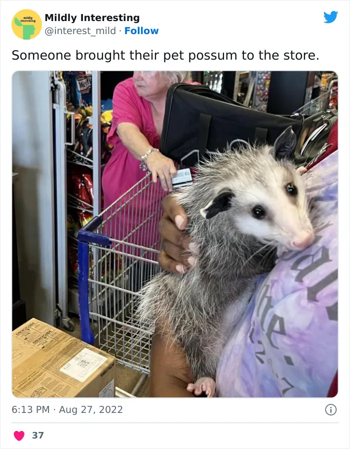 This Twitter Account Posts Things That Are Merely Amusing (40 Pics)