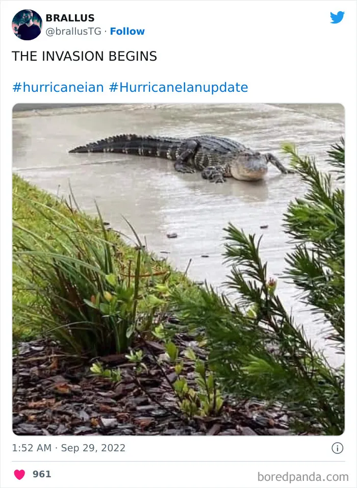 35 Of The Most Surreal Pics That Sum Up The Catastrophe Followed By Hurricane Ian