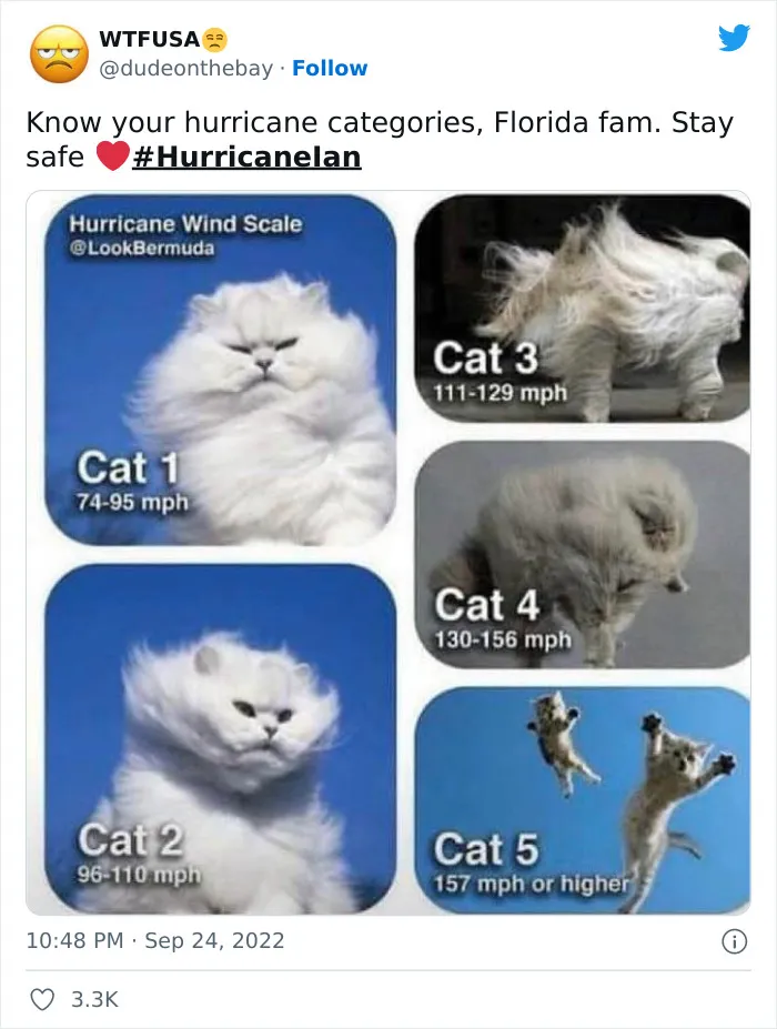 30 Of The Best Memes And Jokes About Hurricane Ian To Keep All The Florida Men Sane