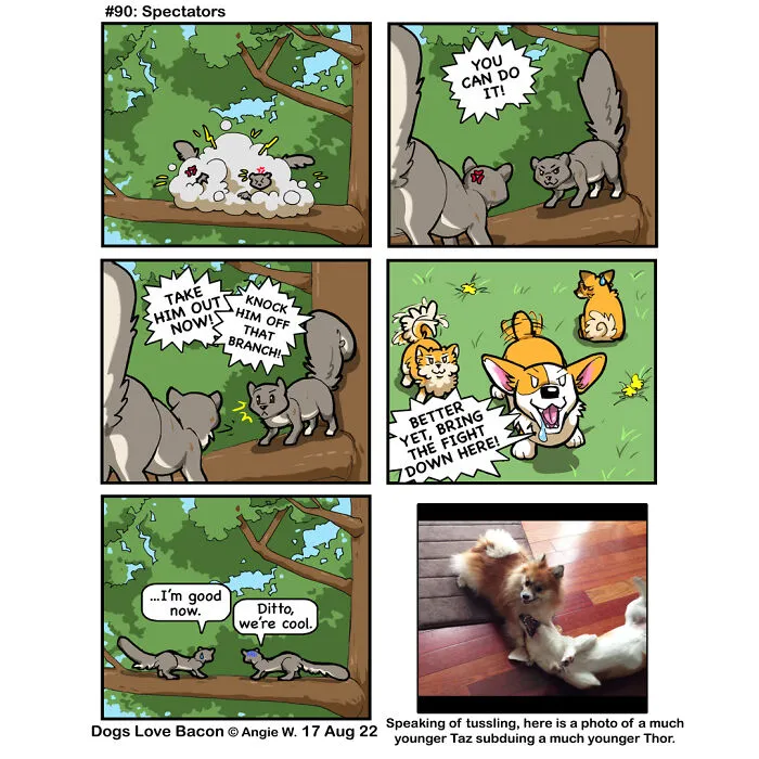 23 Comics I Made To Illustrate The Funny Reality Of Being A Dog Owner (New Pics)