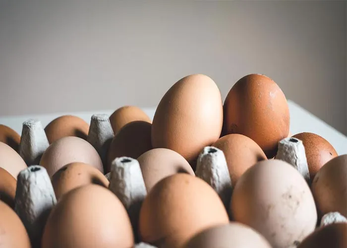 People Share 50 Frugal Life Hacks That Made The Biggest Difference For Them