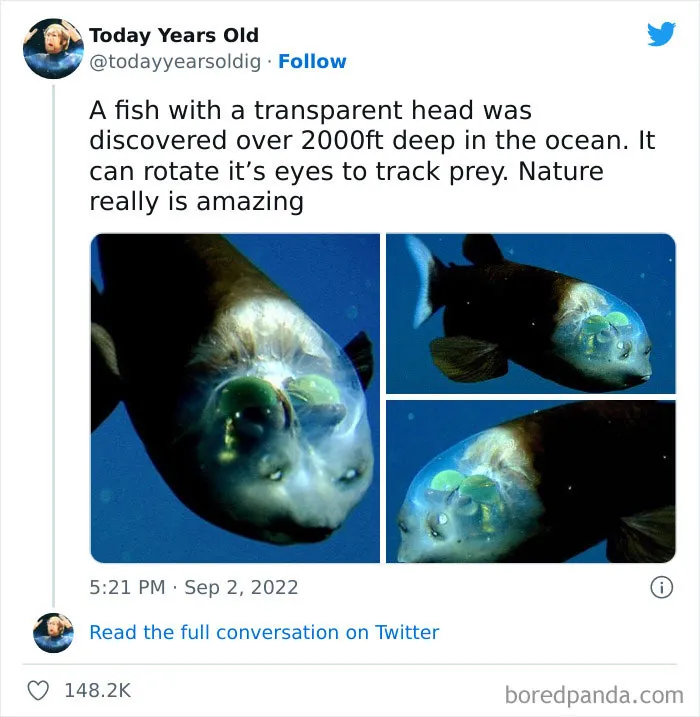 The ‘Today Years Old’ Social Media Project Shares Cool Facts, And Here Are 50 Of The Very Best Ones