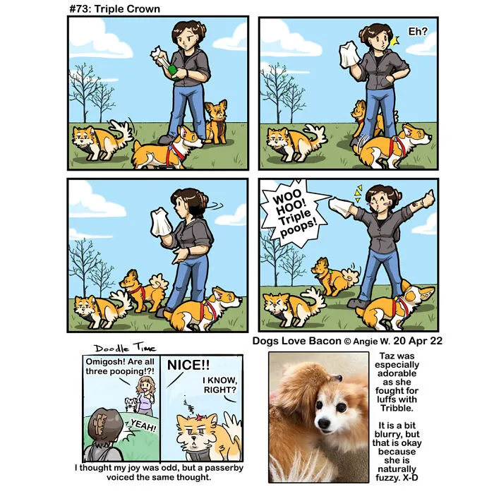 23 Comics I Made To Illustrate The Funny Reality Of Being A Dog Owner (New Pics)