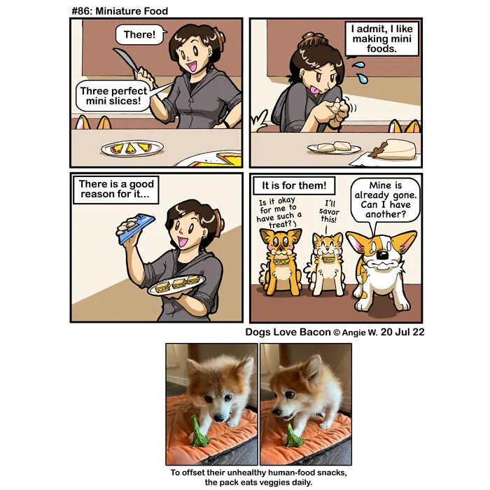 23 Comics I Made To Illustrate The Funny Reality Of Being A Dog Owner (New Pics)