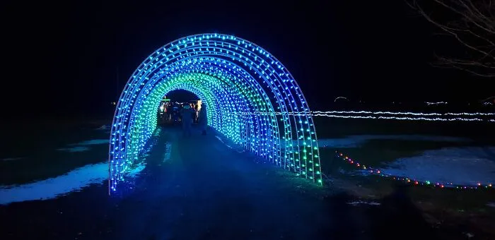 Christmas Light Display